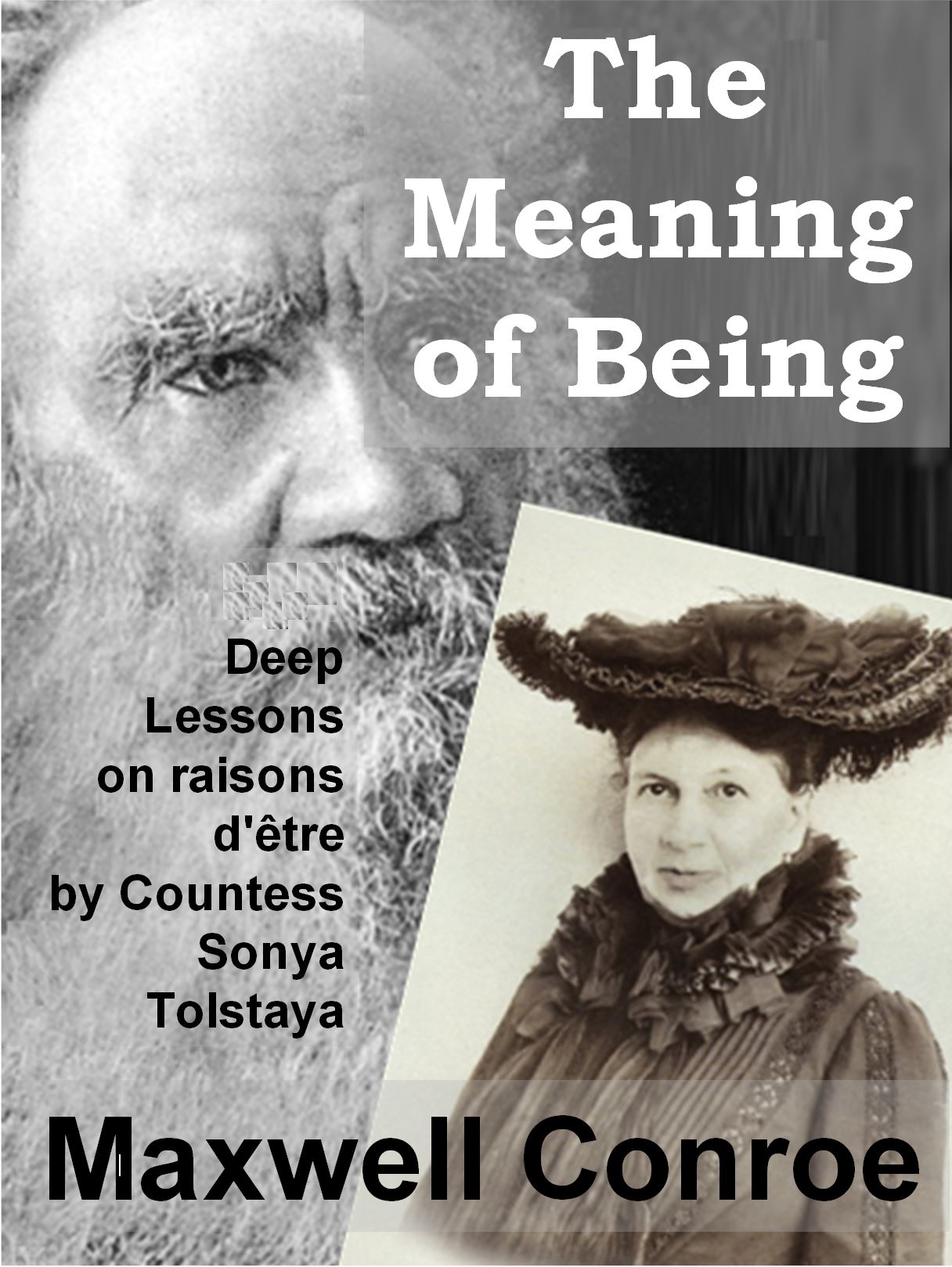 Meaning of Being Front Cover